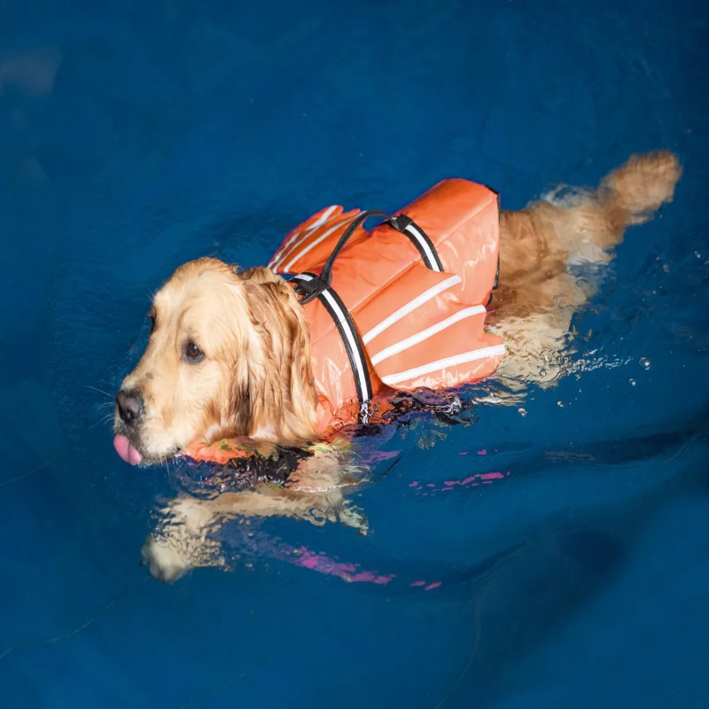 Pet Life Jacket New Reflective - đánh giá và giá Life Jacket