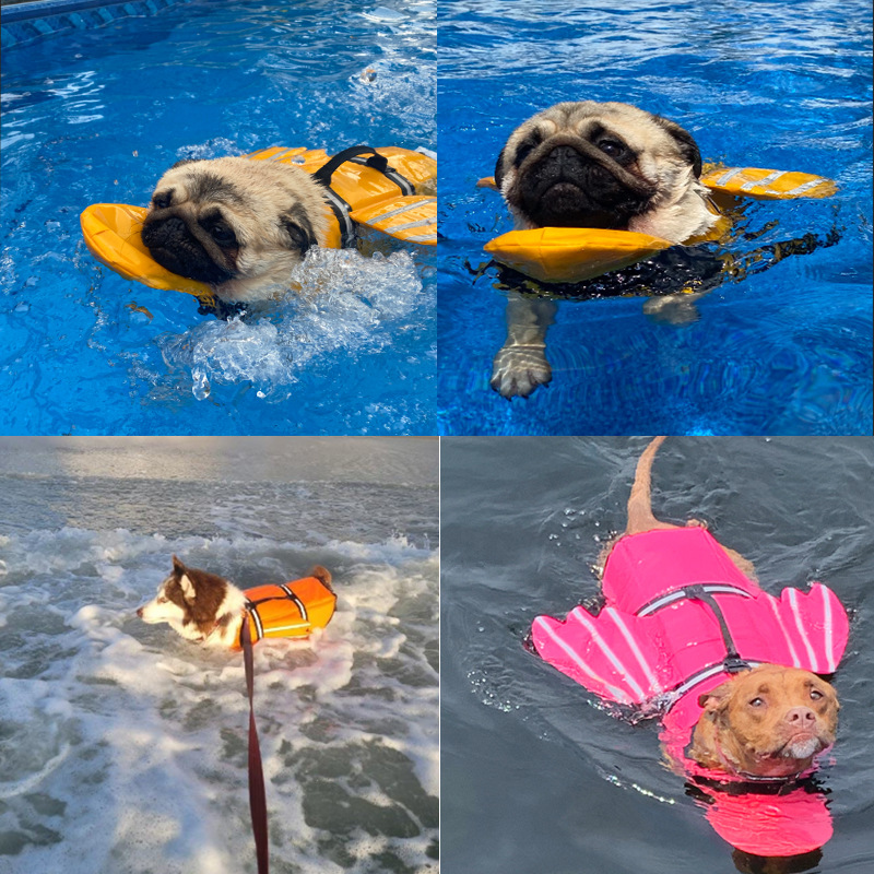 Pet Life Jacket New Reflective - đánh giá và giá Life Jacket